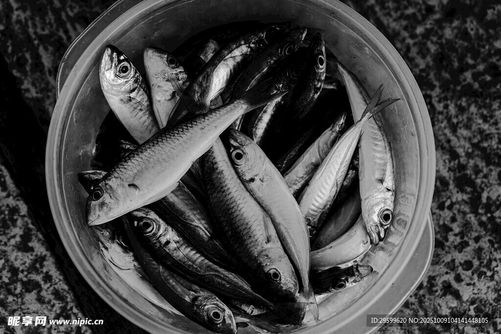 碗中鮮魚