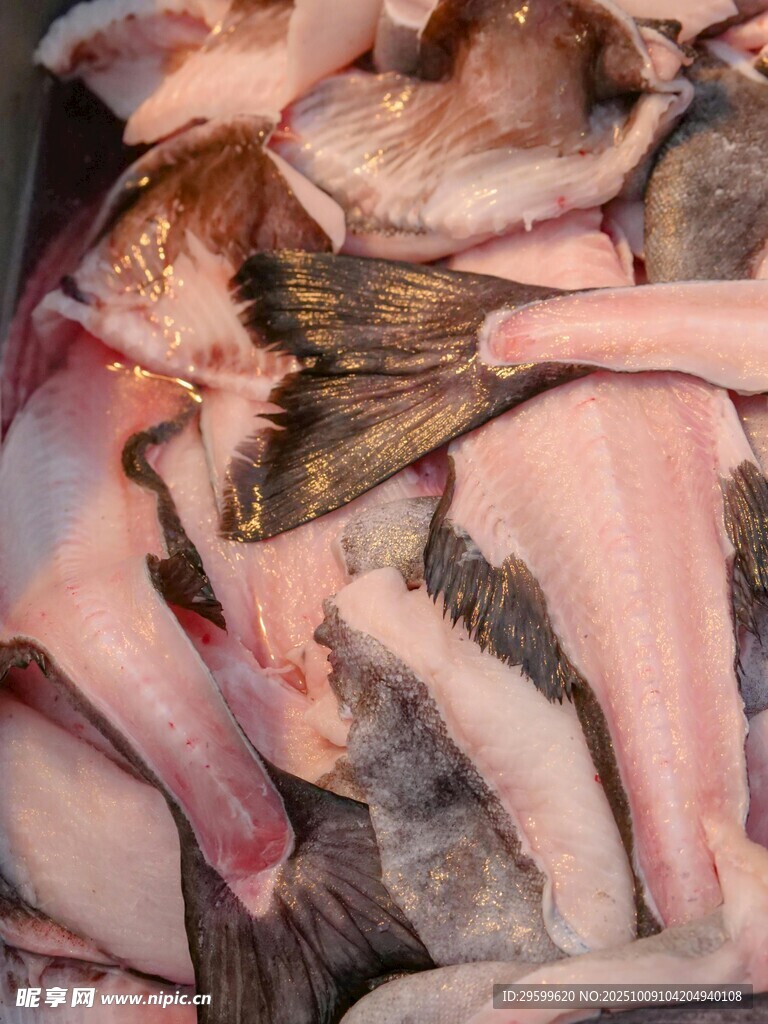 新鮮魚(yú)貨堆疊展示