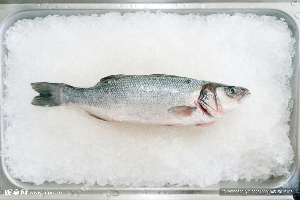 冰上鮮魚