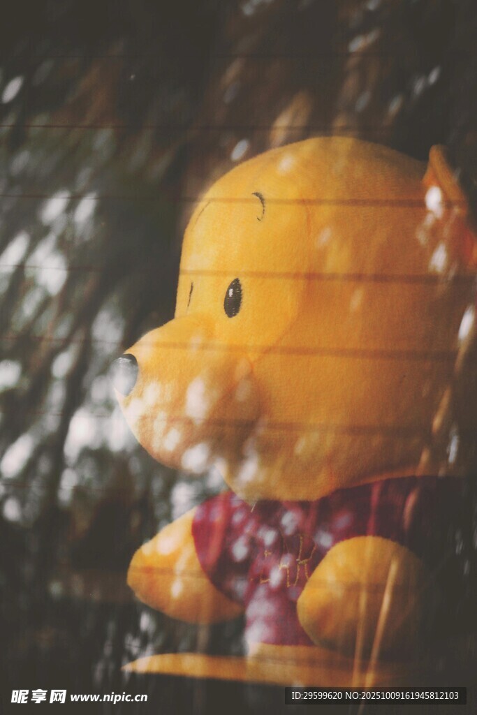 雨中的小熊玩偶