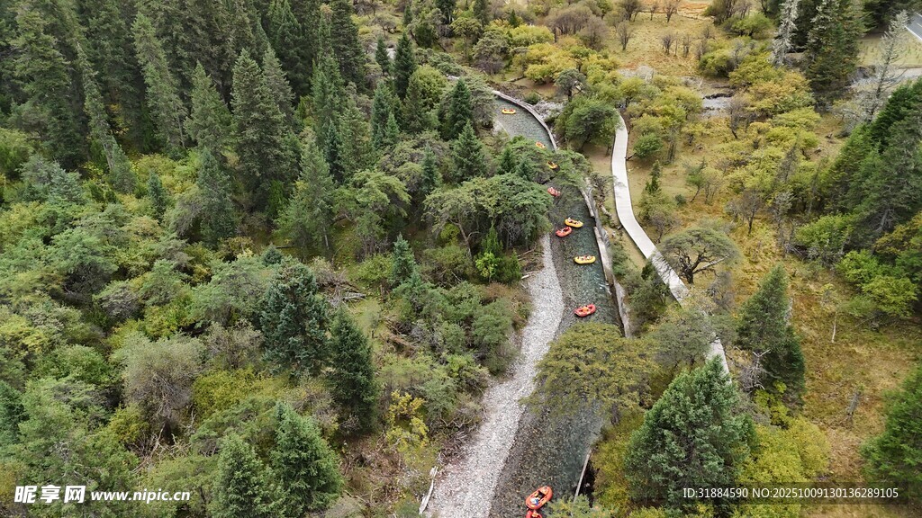 山間蜿蜒公路穿行于森林