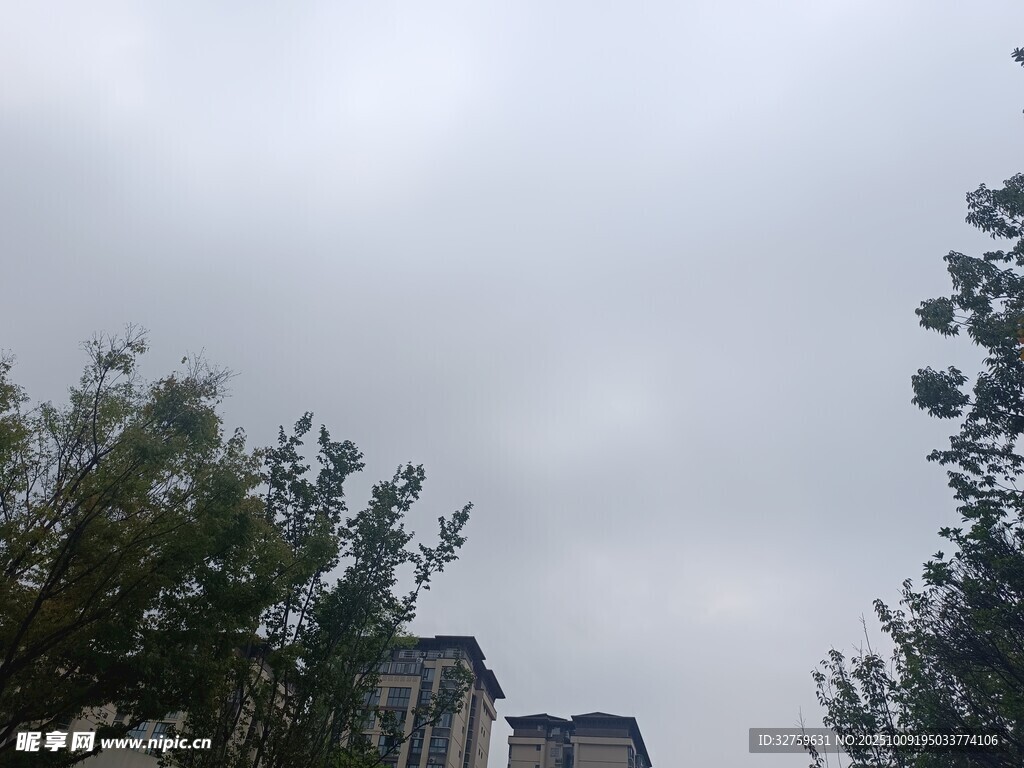 陰天中的樹木與建筑物