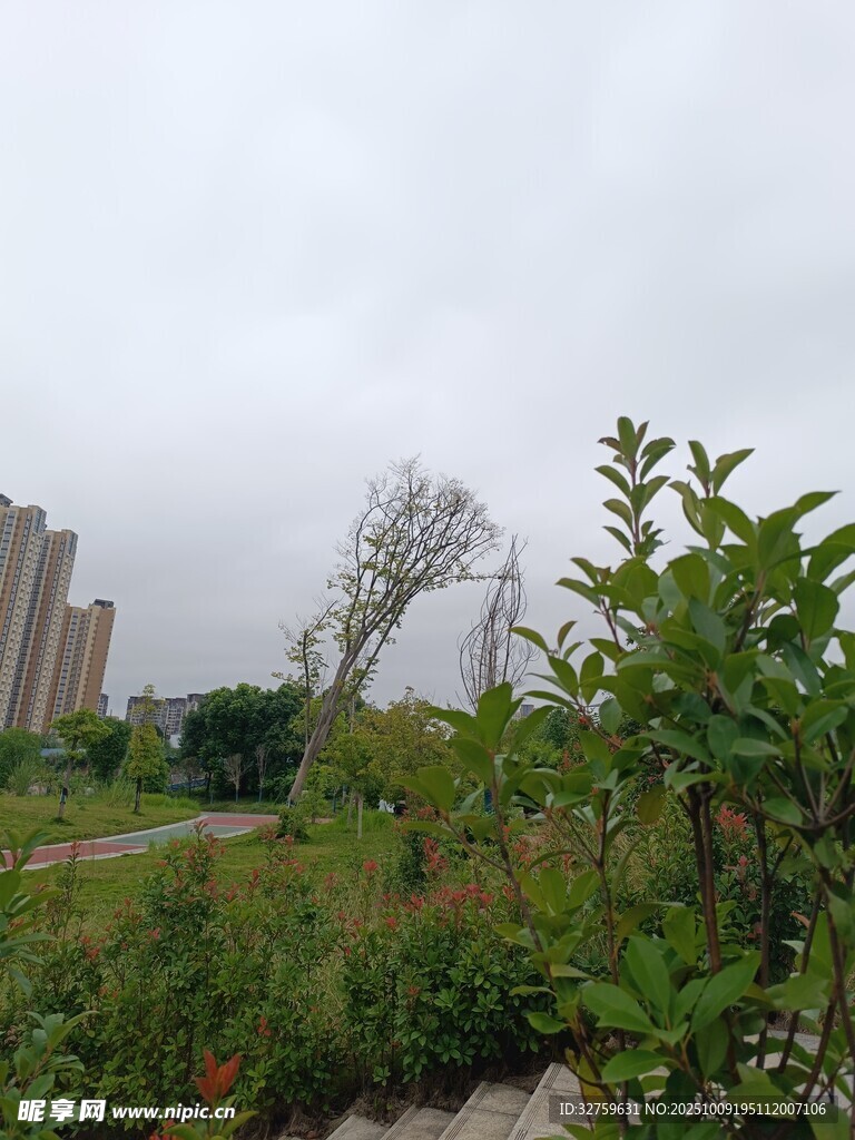 城郊荒野綠植與高樓景象
