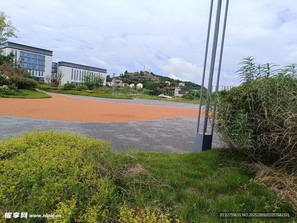 戶外開闊場地與綠植景觀