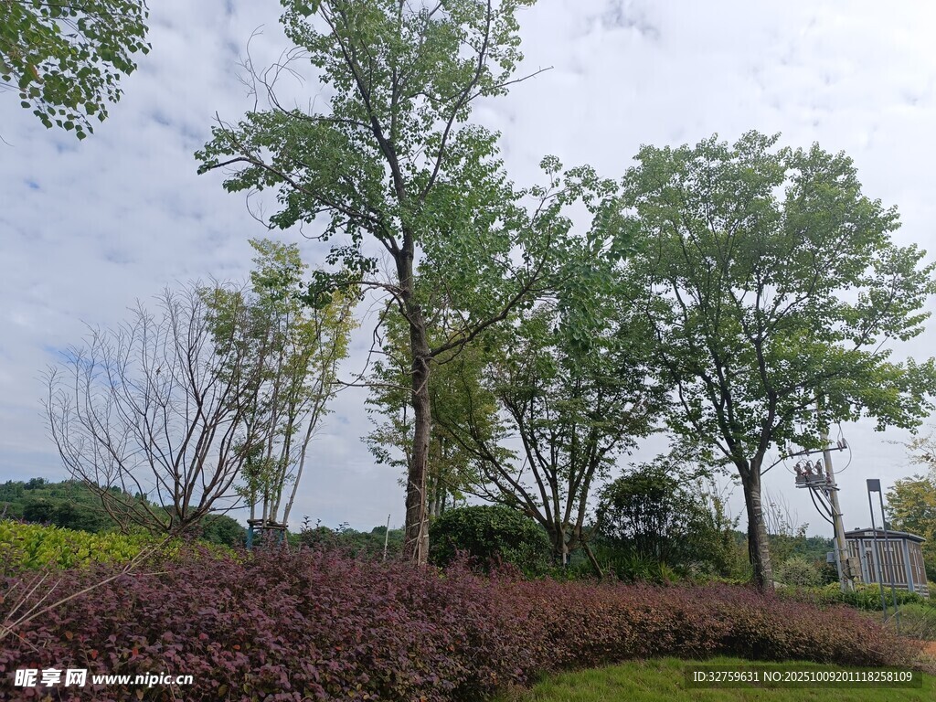 綠樹(shù)成蔭的美麗園林景觀