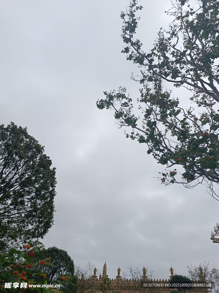 陰天里的樹木與遠(yuǎn)處建筑