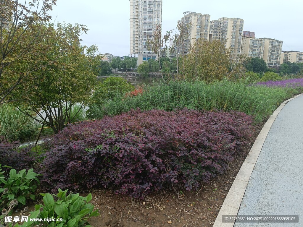 城市路邊多彩綠植景觀
