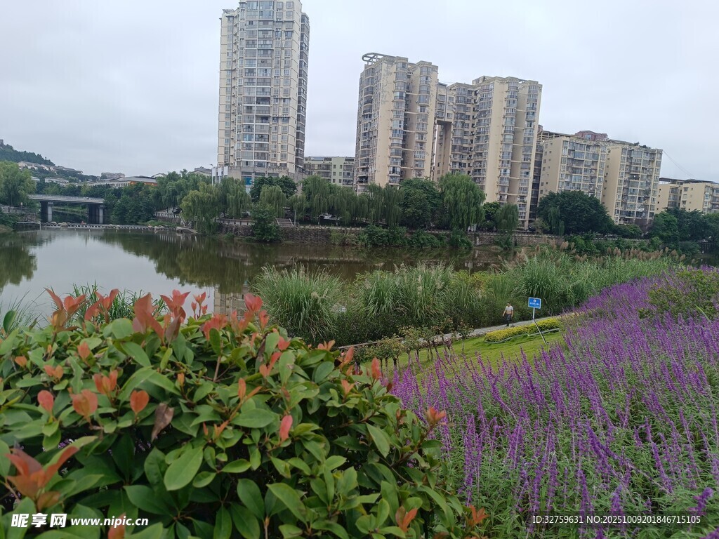河畔花草與高樓景致