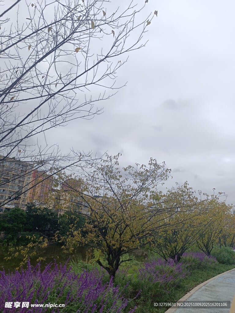 路邊紫花綠樹風(fēng)景宜人