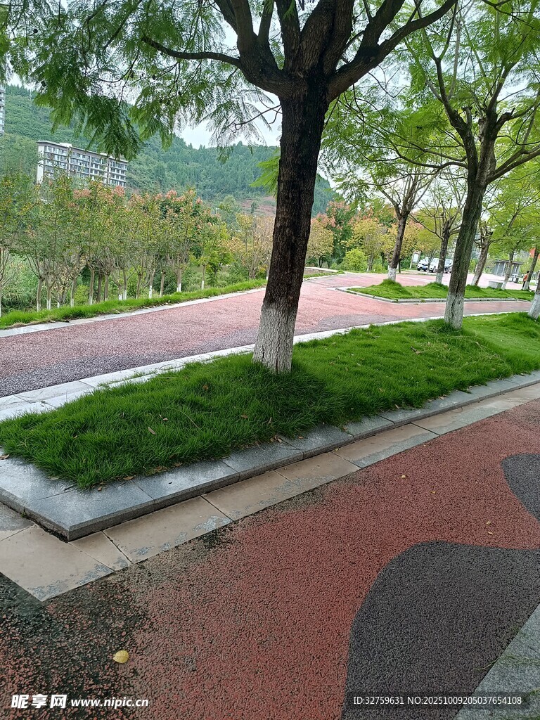 城市公園中的林蔭步道