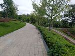 公園蜿蜒小徑綠意盎然