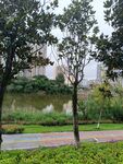 城市中的靜謐湖邊風景