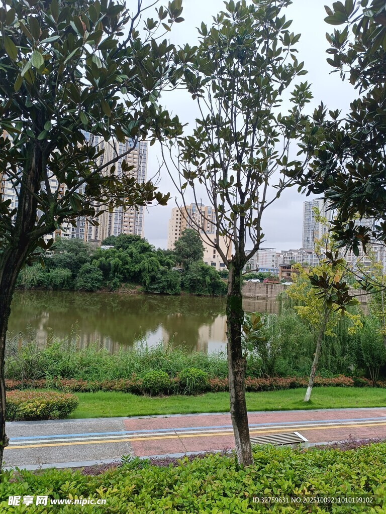 城市中的靜謐湖邊風(fēng)景