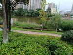 城市河畔綠意盎然景觀
