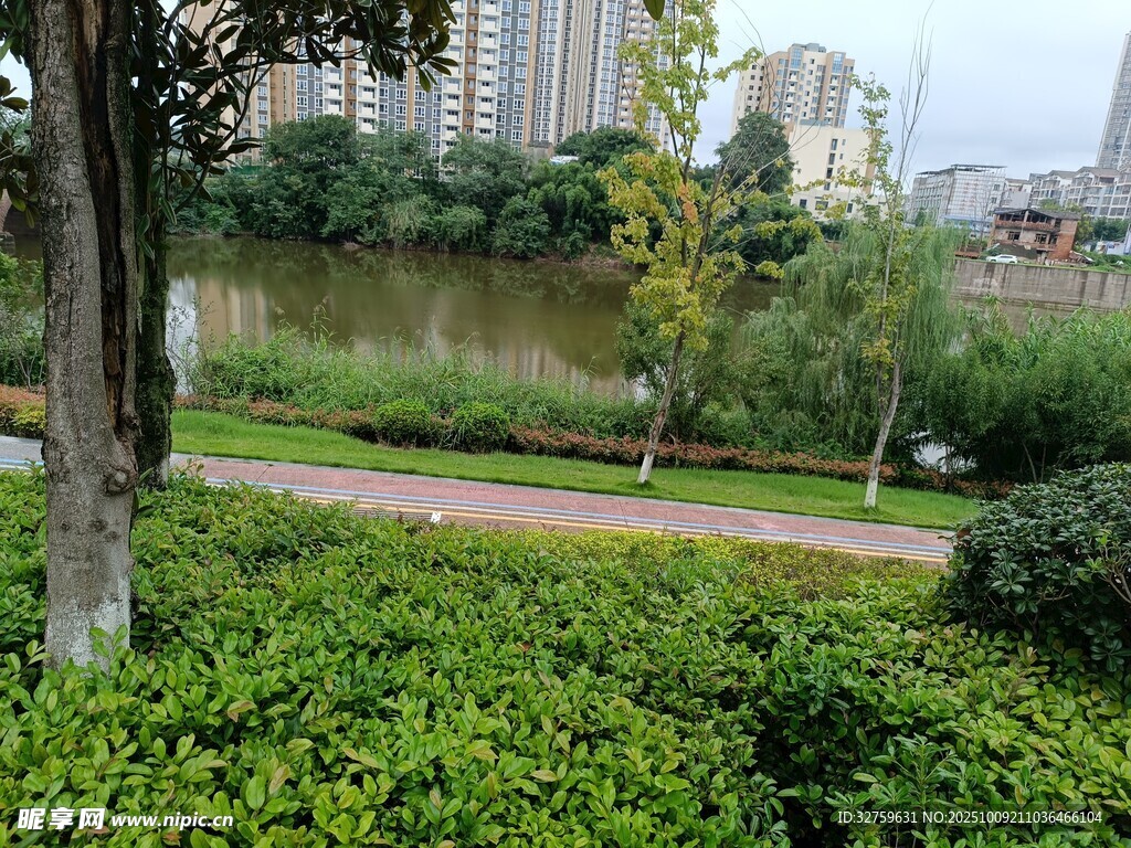 城市河畔綠意盎然景觀