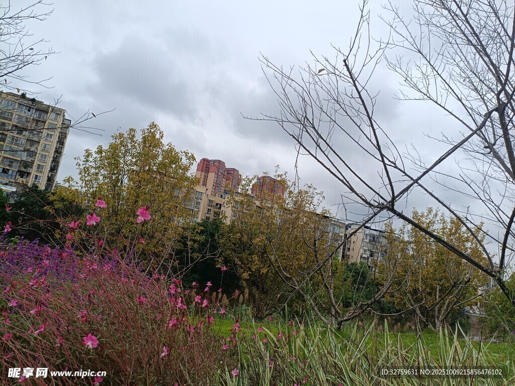 秋日城郊花草樹木景觀