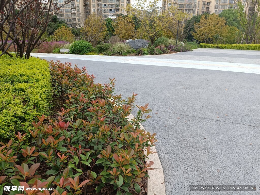 城市道路旁的多彩綠植景觀
