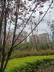 城市中綠意盎然的園林景觀