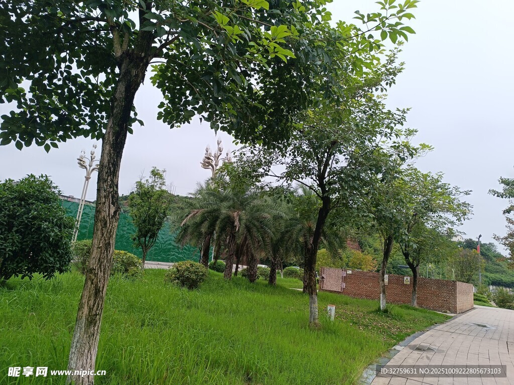 綠意盎然的戶外小徑風景