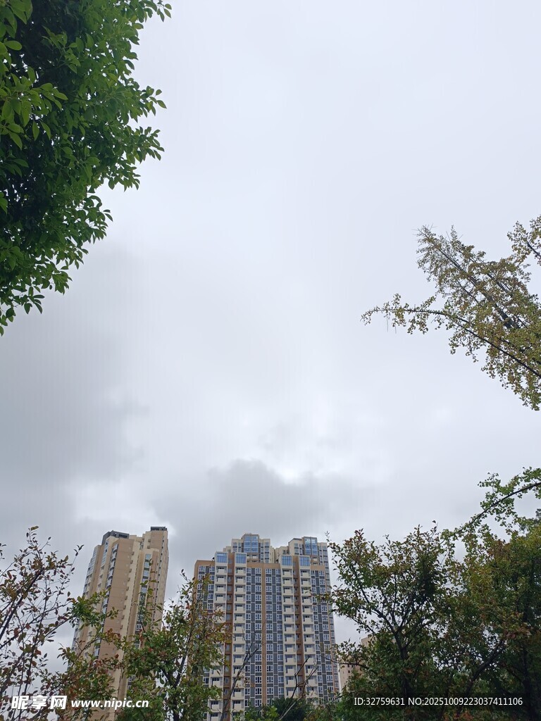 高樓林立于綠樹環(huán)繞間
