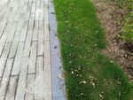 磚石步道旁的翠綠草地