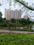 城市湖畔綠植與高樓景觀