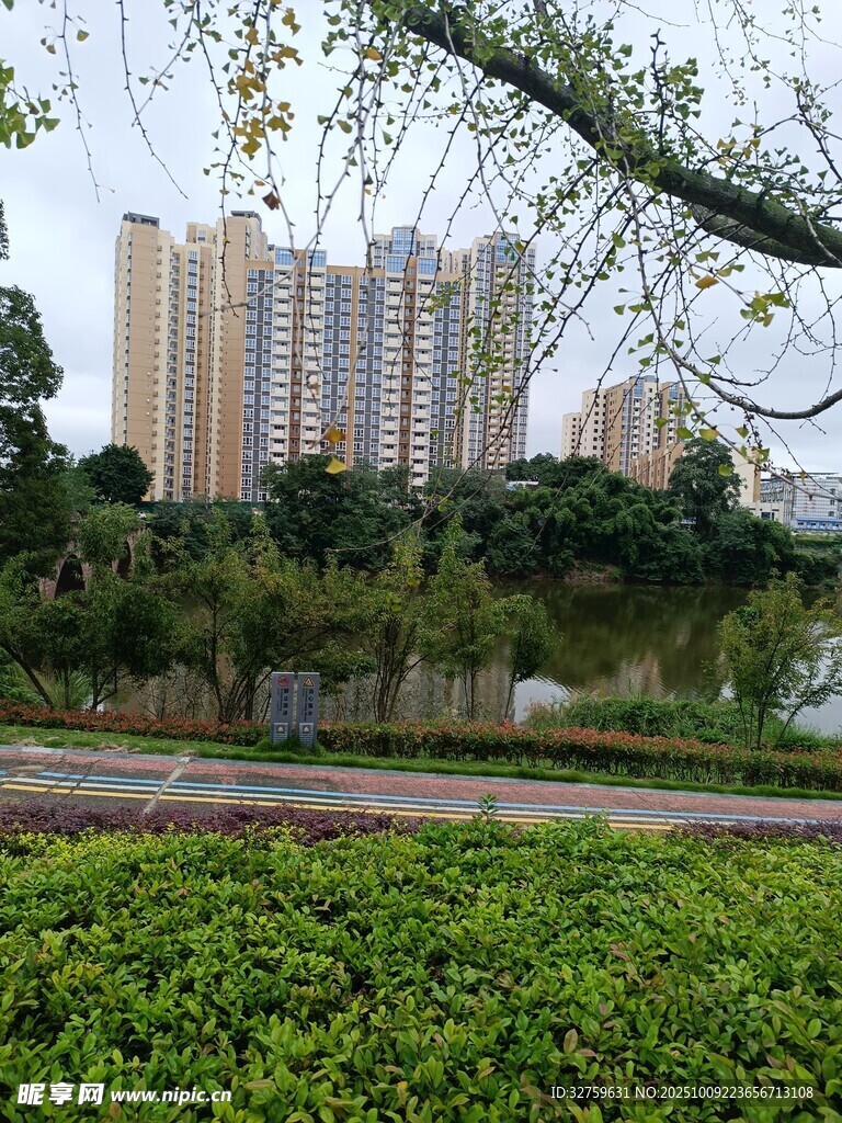 城市湖畔綠植與高樓景觀