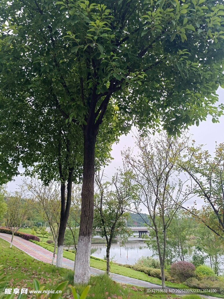 湖畔綠樹成蔭的優(yōu)美景致