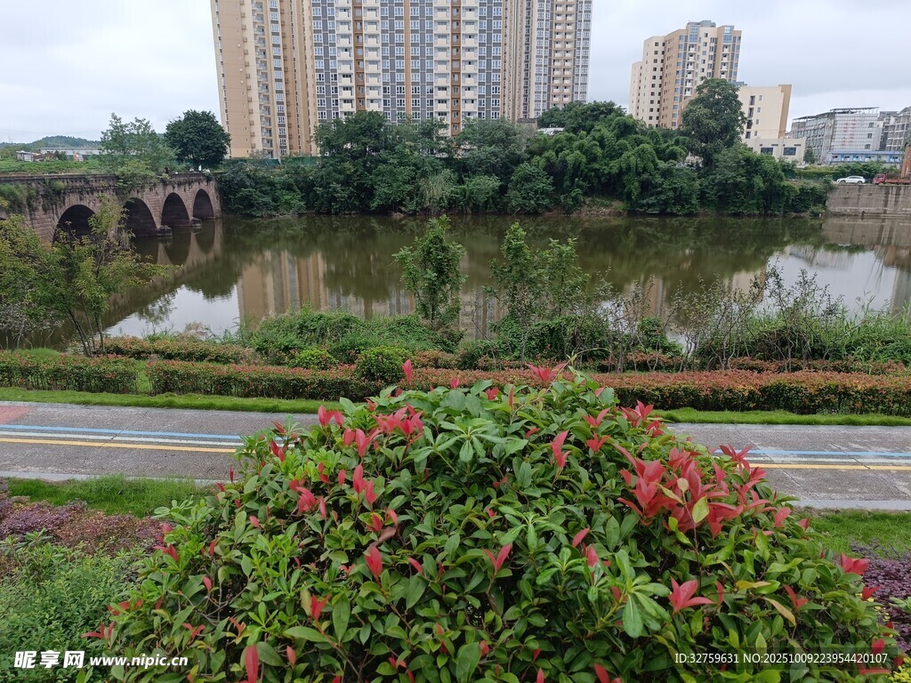 城市湖畔綠植景觀