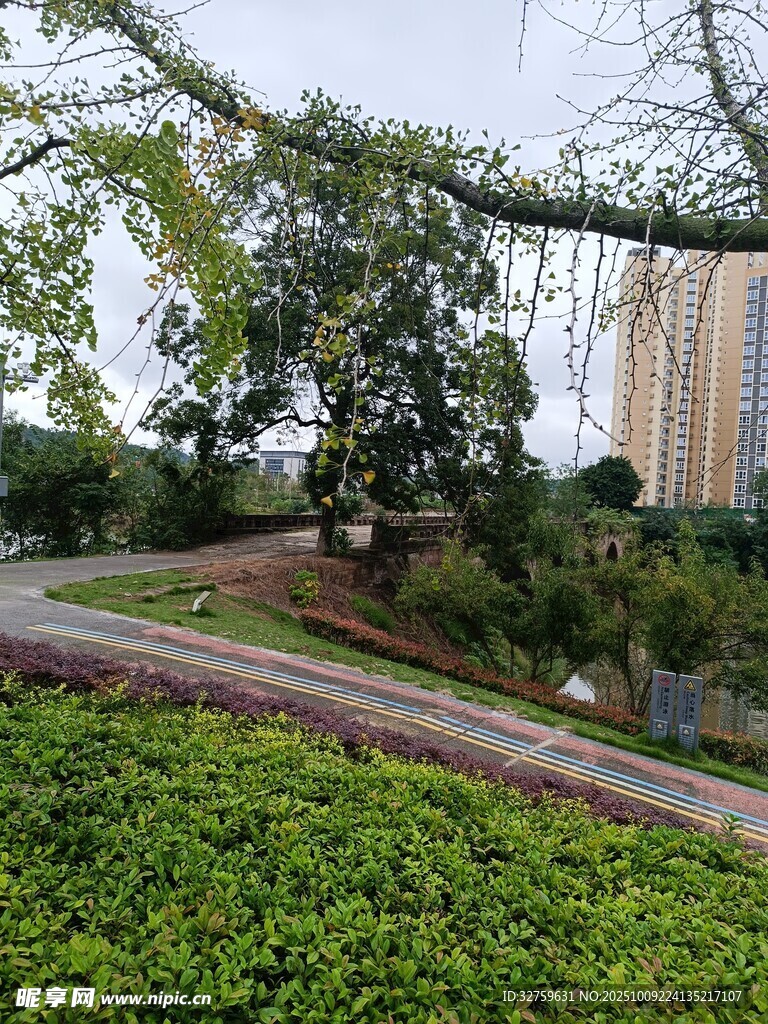 城市中的綠意盎然景觀