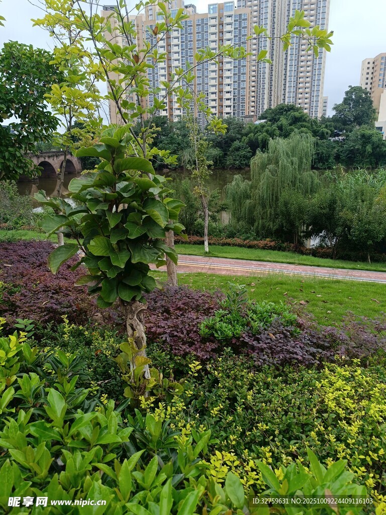 城市公園中的多彩綠植景觀
