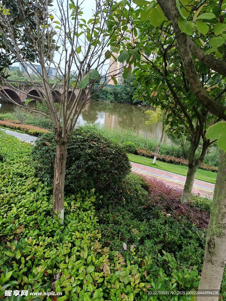 城市中的靜謐綠植景觀
