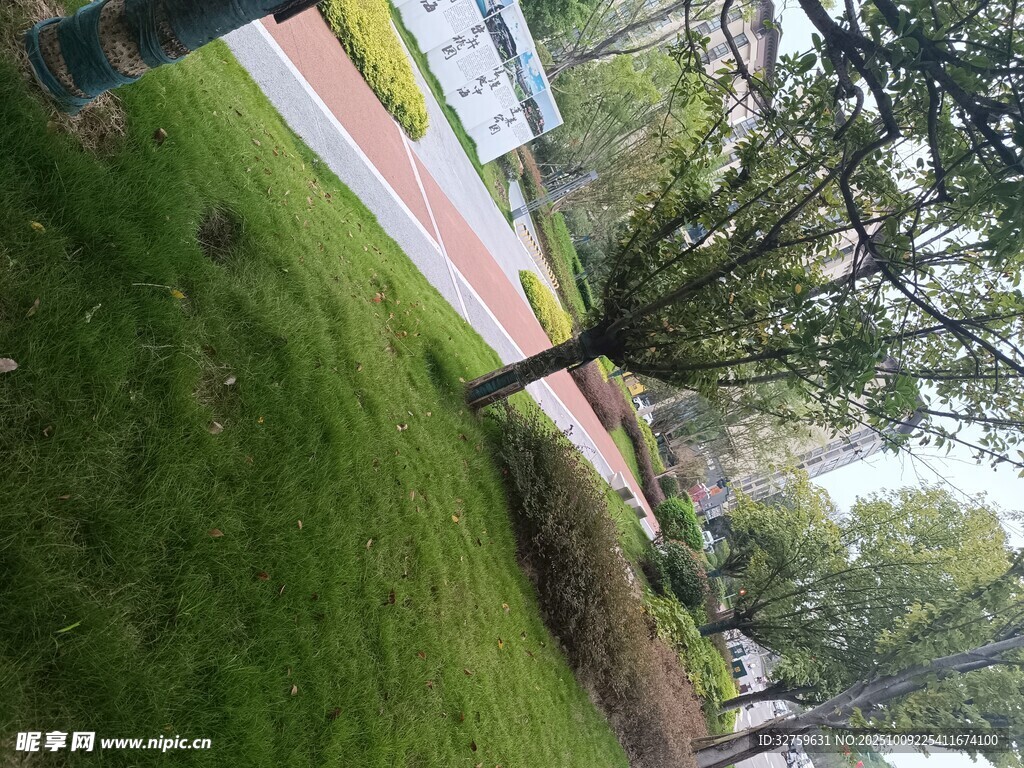 戶外綠意盎然的草地與樹木