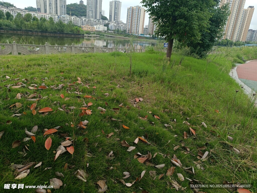 城市綠地中的落葉景觀