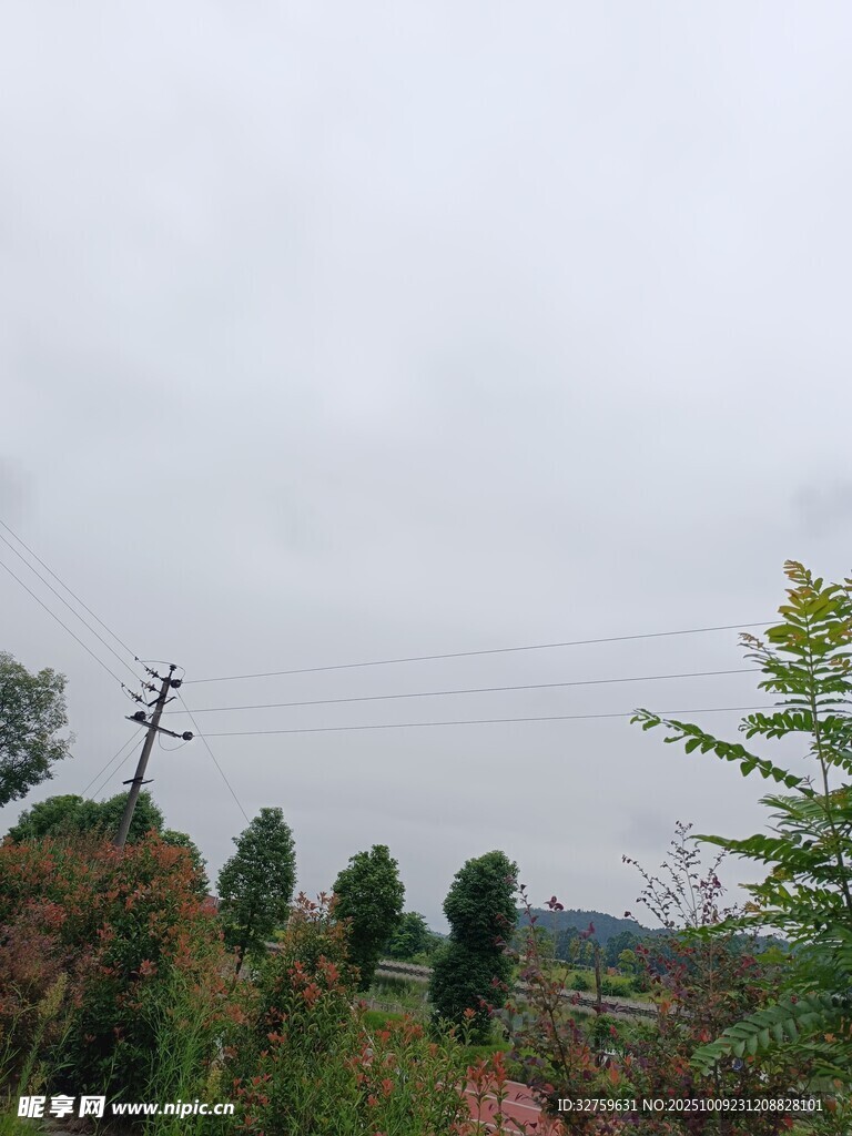 鄉(xiāng)村田野中的樹木與電桿