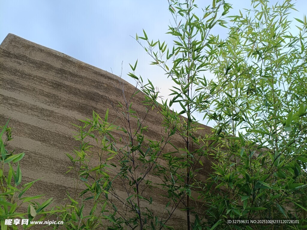 戶外綠植旁的階梯建筑