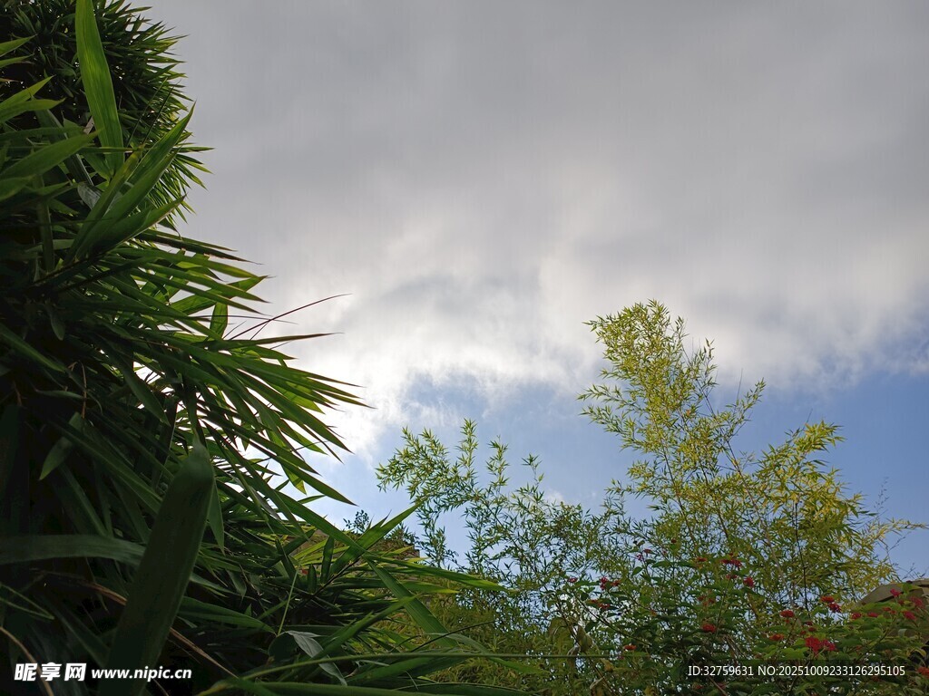 藍(lán)天綠植間的自然景致