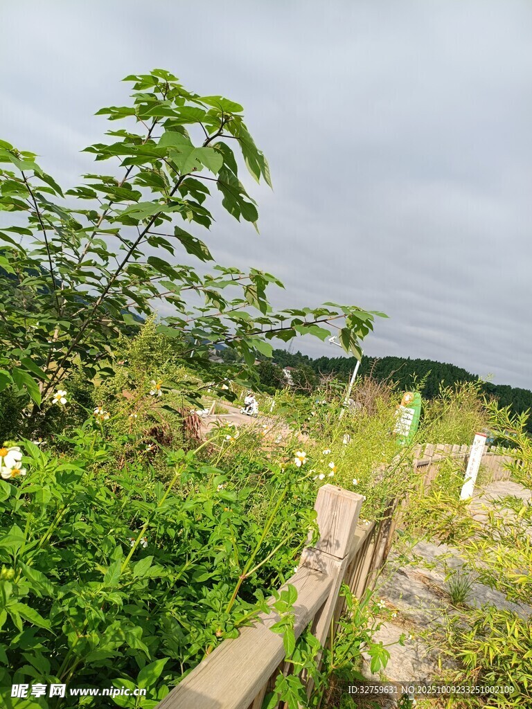 鄉(xiāng)村野外綠植與木柵欄景觀