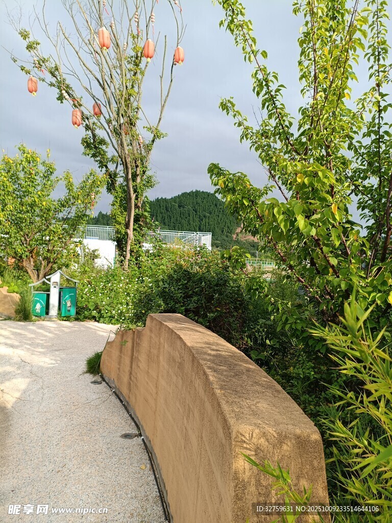 戶外弧形步道與綠植景觀