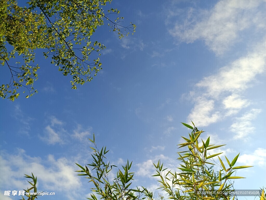 藍(lán)天綠樹間的清新景致