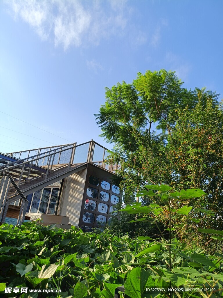 戶外綠植環(huán)繞的建筑景觀