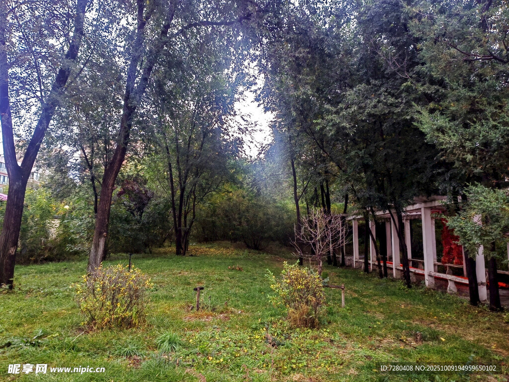 林間草地旁的小屋