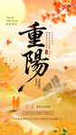 房地產(chǎn)重陽(yáng)節(jié)