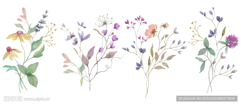 手繪花卉 