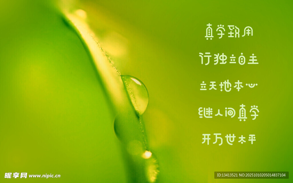 晶瑩綠葉上的水珠 壁紙