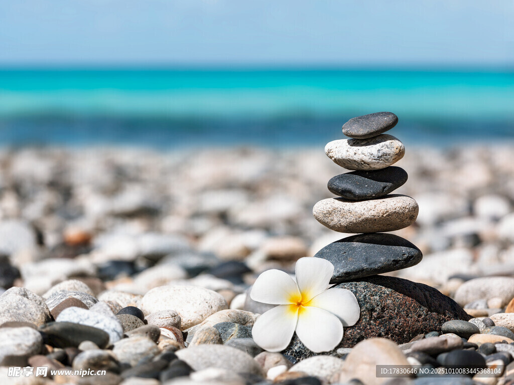 海邊石塔與小花的靜謐景致