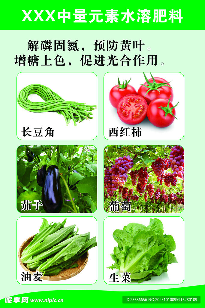 農(nóng)資蔬菜