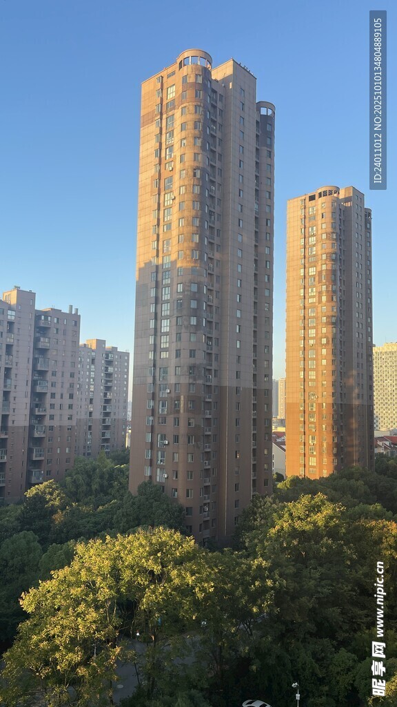 城市高樓與綠樹景觀