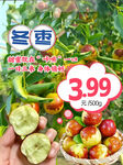 冬棗