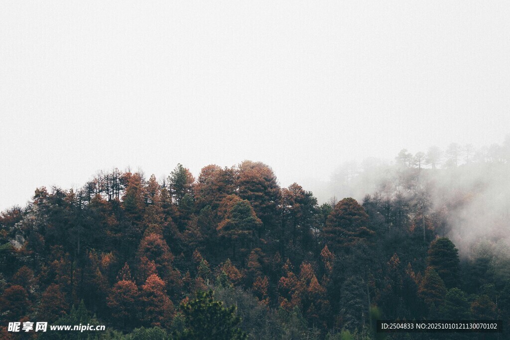 山林云霧間的多彩秋景